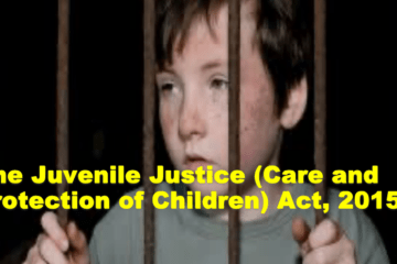 The Juvenile Justice (Care and Protection of Children) Act, 2015: A Critical Analysis of its Interpretation and Implementation.The Juvenile Justice (Care and Protection of Children) Act, 2015: A Critical Analysis of its Interpretation and Implementation.