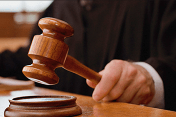 "Unintentional Error": High Court Comments In "Mr Put Mine, Backer" Matter