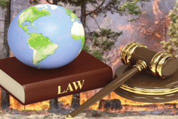 most recent cases of environmental crime and law