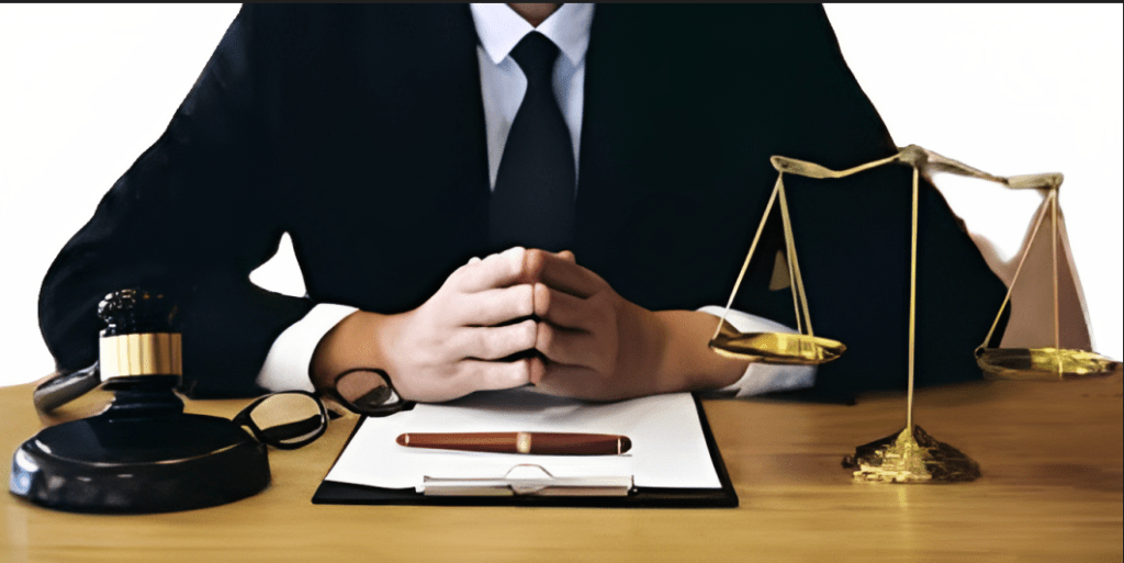 legal profession india essay