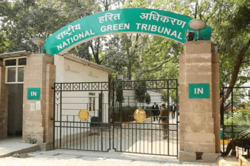 The NGT Committee Formed to Safeguard Submerging Islands in India