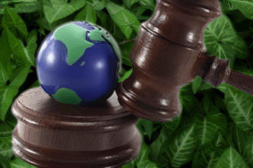 EVOLVING GLOBAL ENVIRONMENTAL LAW: A CONTEMPORARY PERSPECTIVE