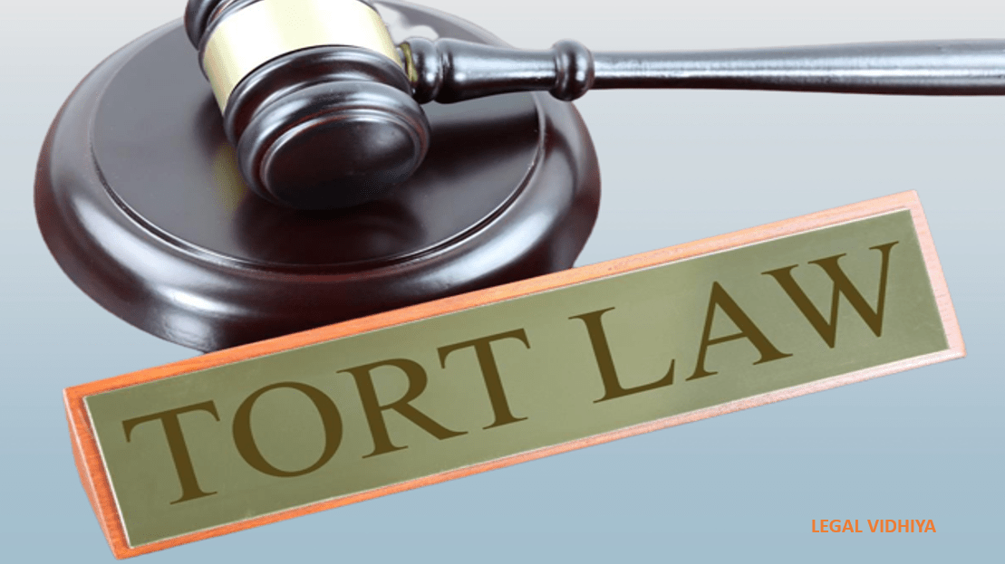 DEFINITION OF TORT AND DEVELOPMENT OF LAW OF TORTS - Legal Vidhiya