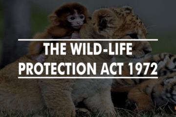 THE INTERPRETATION AND IMPLEMENTATION OF THE WILDLIFE PROTECTION ACT, 1972 