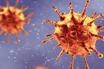 US witnesses spike in latest Covid variant cases, HV.1 accounts for over 25% of total infections
