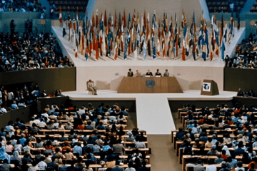 THE UNITED NATIONS CONVENTION ON THE ELIMINATION OF DISCRIMINATION AGAINST WOMEN