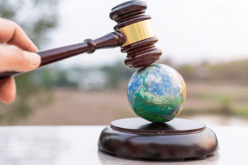 ARBITRATION AND CLIMATE CHANGE: ENVIRONMENTAL DISPUTES