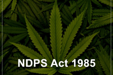 CONSTITUTIONAL VALIDITY OF PROVISIONS UNDER THE NDPS ACT, 1985