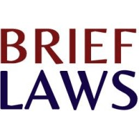 Call for Blogs by Brieflaws [No Fee]: Submissions by Oct 30!