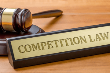 REGULATION OF ONLINE MARKETPLACES: ANTITRUST CONCERNS AND COMPETITION LAW