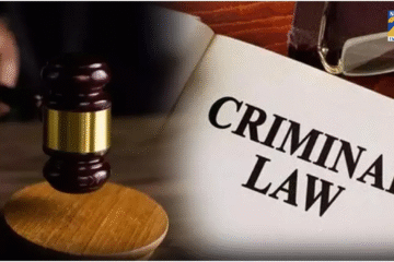  NEW CRIMINAL LAWS: A REFORM OR A REBRANDING?