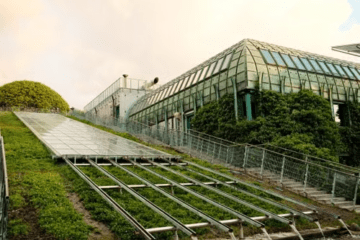 SUSTAINABILITY & ECO-INNOVATION IP RULES