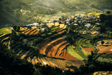 ECONOMIC IMPORTANCE OF GI PROTECTION IN INDIA