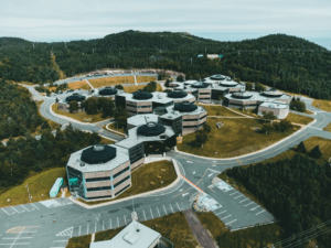 executive capture of environmental institutions