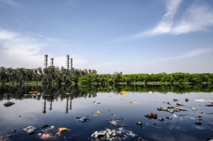DILUTION OF ENVIRONMENTAL NORMS THROUGH NOTIFICATIONS