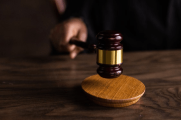 INTERNATIONAL LAW IN DOMESTIC COURTS