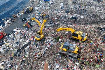 THE POLLUTER PAYS PRINCIPLE: SYMBOL OR SOLUTION