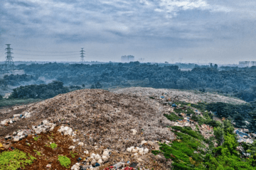 ENVIRONMENTAL PROTECTION VS INFRASTRUCTURE DEVELOPMENT: A JUDICIAL BALANCING ACT